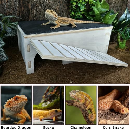 Bearded Dragon Basking Platform Gecko Hide Wood Reptile Hide Cave | Large,12.9"×7.1"×4.7",Detachable,Installation Instructions,with Slate Rock Mat,for Gecko Chameleon Snake Crested Gecko - size: Large