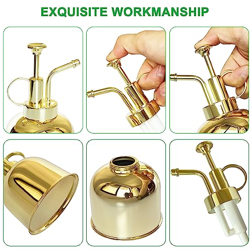 Stainless Steel Plant Sprayer, Small Watering Can Modern Gardening Tool for Indoor Potted Plants Watering and Spraying - color: 10oz/Gold color