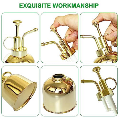 Stainless Steel Plant Sprayer, Small Watering Can Modern Gardening Tool for Indoor Potted Plants Watering and Spraying - color: 10oz/Gold color