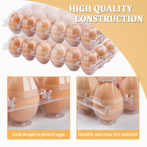 40PCS Plastic Egg Cartons 18 Count,Clear Egg Cartons Cheap Bulk | Reusable Egg Holder for Family,Pasture,Farm Markets Display - Medium Egg Containers 3x6 Grids - style: 3x6Grids-40count