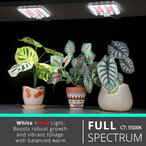 Under Shelf Grow Light, Auto Timer, Dimmable, Natural White, 1-Pack | Full Spectrum LED Plant Light for Shelves, Bookcase, Cabinet; 4"x4" Ultra-Slim LED Panel; 6ft USB Cord; 10W 2-Panel Each Pack - color: Natural White