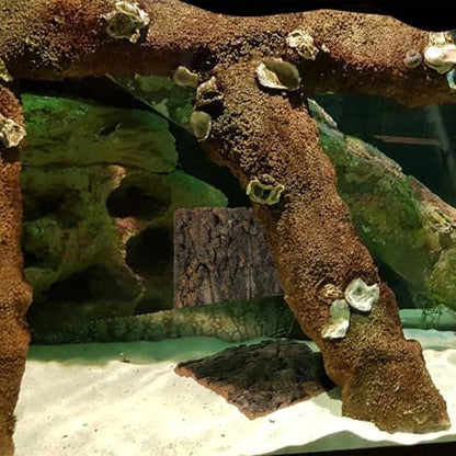 Toddmomy Cork Bark Reptile Terrarium Background 8 Pieces Natural Bark Wood for Gecko Lizard Frog Bearded Dragon Aquarium Decorations Climbing Habitat Decor 5.90 X 5.90 X 1.57 in - size: 8pcs