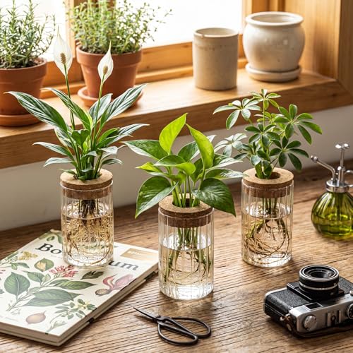 6 Set Propagation Station Jar Desktop Glass Planter Station Flower Vases Water Terrarium Jar with Cork Lid for Propagating Flower Plants Centerpiece Office Home Garden Decor (Small) - size: Small