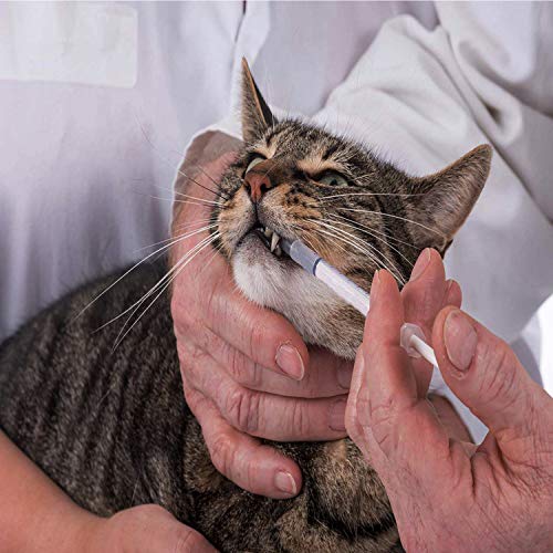 100PCS 1ml 1cc Syringe No Needle Plastic Syringe for Pets Oral, Refilling | For use in Oil or Glue Applicator, Measuring or Transfering Tiny Amount of Liquids