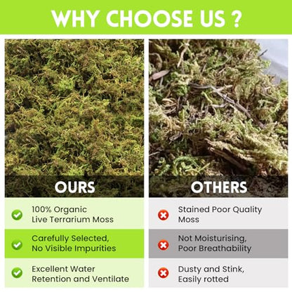 Riare 1.3lb Natural Sphagnum Moss for Reptiles, Terrarium Substrate Bedding | 50QT High Expansion, Moisture Retention, Helps Shedding, Long Fibered Dried Moss for Leopard Gecko, Snake, Frog, Turtle - color: 21 OZ
