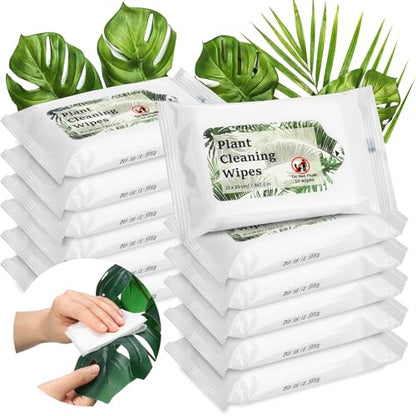 Nuanchu 12 Pack Plants Cleaning Wipes for Indoor Plants, Plant Leaf Cleaner and Shine Wipe, Unscented Thick Photosynthesis Wipes Leaf Cleaner for House Indoor & Outdoor (120ct)