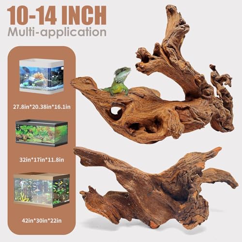 Jorewood Natural Large Aquarium Driftwood for Fish Tanks & Reptile Terrariums – 100% Safe Fish Tank Decorations, 2-Piece 10-14 Inch Unique Twisted Branches Low Tannin, Easy to Sink - size: Mopani Driftwood 10 to 14 Inch (Pack of 2)