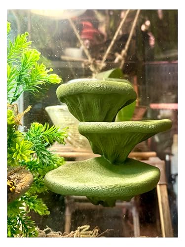 Mushroom Ledge for Terrarium – Climbing & Resting Shelf with Suction Cups (Dark Green, 6''x4.5''x5.25'') - color: Dark Green