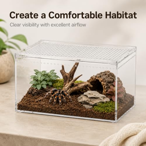 Large Clear Acrylic Jumping Spider Enclosure, 11.8 x 7.9 x 5.9 in | Suitable for tarantulas, spiders, mantises, beetles, and small reptiles, Wide opening design for feeding and cleaning