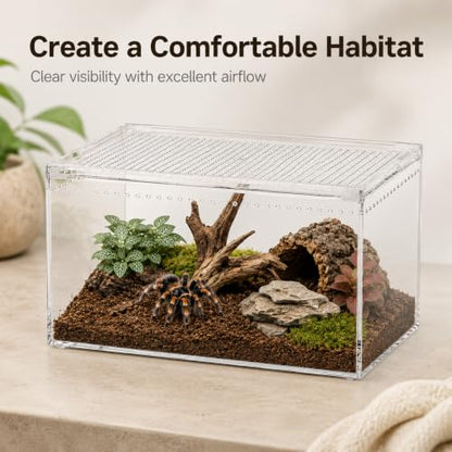 Large Clear Acrylic Jumping Spider Enclosure, 11.8 x 7.9 x 5.9 in | Suitable for tarantulas, spiders, mantises, beetles, and small reptiles, Wide opening design for feeding and cleaning