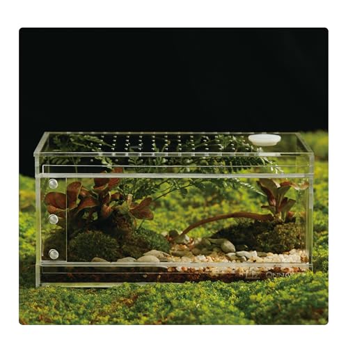 Acrylic Terrarium for Reptiles & Spiders – Small/Medium/Large Leak-Proof Enclosure (Horizontal/Vertical) | Ideal for Tarantulas, Jumping Spiders, Frogs & Geckos(Small, Horizontal) - size: Small