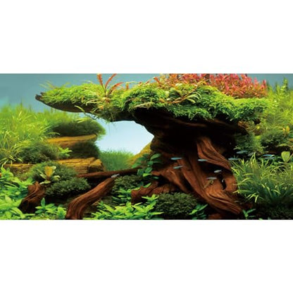 AWERT 30x12 inches Wood Fish Tank Background Seaweed Aquarium Background River Bed & Lake Aquarium Background Vinyl Background - size: 30x12in/75x30cm