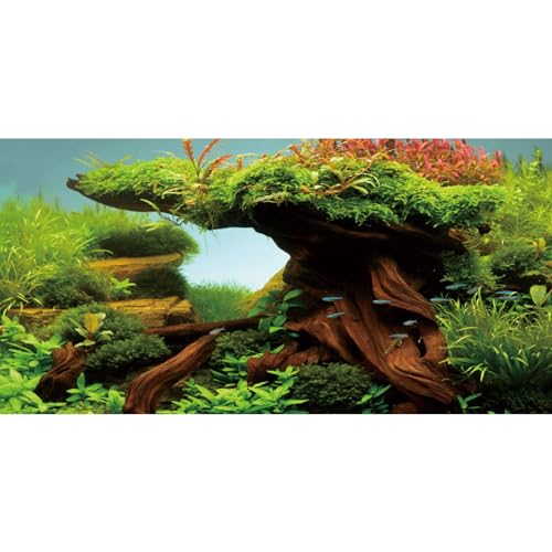 AWERT 36x20 inches Wood Fish Tank Background Seaweed Aquarium Background River Bed & Lake Aquarium Background Vinyl Background - size: 36x20in/90x50cm