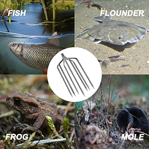 5/7 Prong Fishing Harpoon, Stainless Steel Gig Gaff Hook with 8mm Screw, Harpoon Hook for Hunting Fish Flounder Frog Gig in Pond River Lake, Capable for Fishing Gaff Gig Pole - color: 7 Prong with 8mm screw