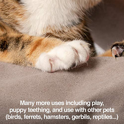 PetFusion Multipurpose Pet Grooming Gloves Great for Trips to Vet and Bathing, Puncture, Scratch & Water Resistant - size: Large