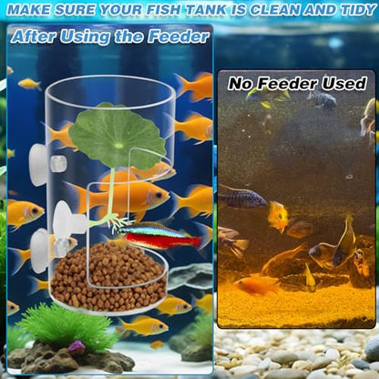 Fish Tank Food Tray with Suction Cups Comes with Two Single-Layer Small Lotus Leaves, Feeding Tube Supplies, Breeder Box for Aquarium, Round Aquariums & Fish Bowls Accessories - color: 4.Transparent