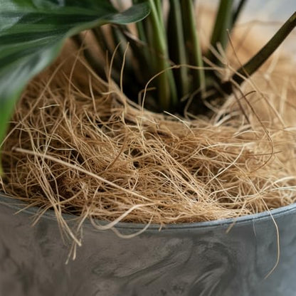 Natural Coconut Husk Fiber Organic Pure Coconut Husk Silk for Plants Coconut Fiber Substrate Loose & Fluffy Non-Vacuumed Easy to Separate for Orchids 1.76 Oz (50g) - size: 50g