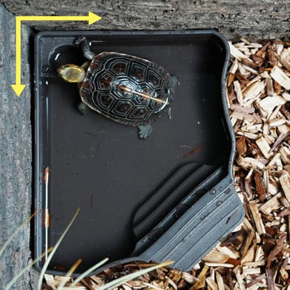 Reptile Water Feeder Automatic Water Dispenser with Ramp Extra Large Reptile Bathing Pool for Gecko, Snake, Turtle, Bearded Dragon, Lizard Bath Aquarium Ornament - size: without Bottle