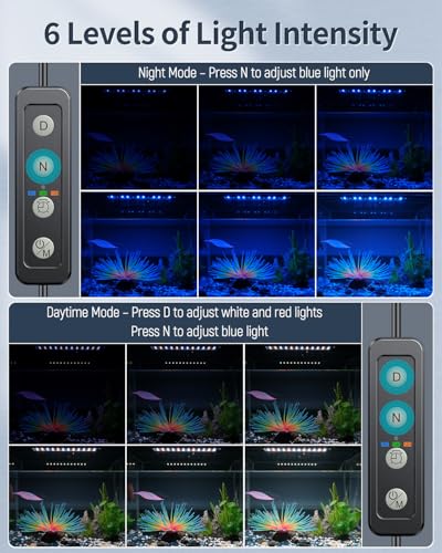 Pawfly 6 W Extendable Aquarium LED Light for 6 to10 Inch Fish Tank with Full Spectrum Brilliant White Blue Red Lights with Daytime & Night Modes and Adjustable Brightness - color: Basic with Timer, size: 6"-10"