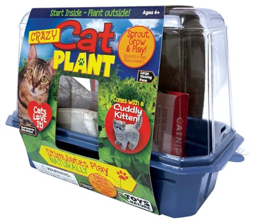 Toys by Nature Miniature Worlds Organic Catnip Windowsill Terrarium Starter Kit, Complete Supplies and Easy-to-Grow Indoor Plants Linen Sachet and Seeds Included! (Crazy Cat Plant) - style: Crazy Cat Plant