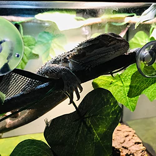 2 Pcs Bearded Dragon Lizard Hammock, Geckos Hammock, Breathable Mesh Reptile Hammock, Suitable for Iguanas, Anoles, Geckos, Snakes, Chameleon（Black） - color: black