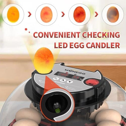 Nest II - 12 Egg Incubator for Beginners, Multi-Level Adaptive Humidity (Auto-Refill & Dual-Bottle) & Stable Temp Control, Auto Egg Turning, Real-Time Display, Candler for Hatching Poultry Eggs - size: 12 Egg [Black&Red]