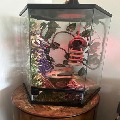 Crested Gecko Coconut Hut with Ladder,Bearded Dragon Coco Den Reptile Shell Hideout Husk Hut Climbing Plants Leaves Tank Accessories for Lizard Chameleon Snakes