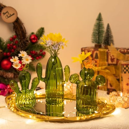 XXXFLOWER Cactus Plant Propagation Station 3 Cactus Vase Terrarium Jars | Desk Plant Cuttings Plant Holders Unique Glass Flower Vase for Hydroponics Plants for Plant Lovers Home Garden Decor - size: 3PCS Cactus Vase