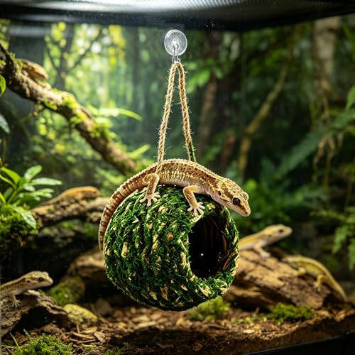 Handmade Natural Moss Hide for Reptiles & Amphibians, 12cm Square Humidity-Retaining Shelter with Non-Marking Suction Hooks, Ideal for Crested Geckos, Hermit Crabs(Green)