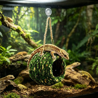 Handmade Natural Moss Hide for Reptiles & Amphibians, 12cm Square Humidity-Retaining Shelter with Non-Marking Suction Hooks, Ideal for Crested Geckos, Hermit Crabs(Green)