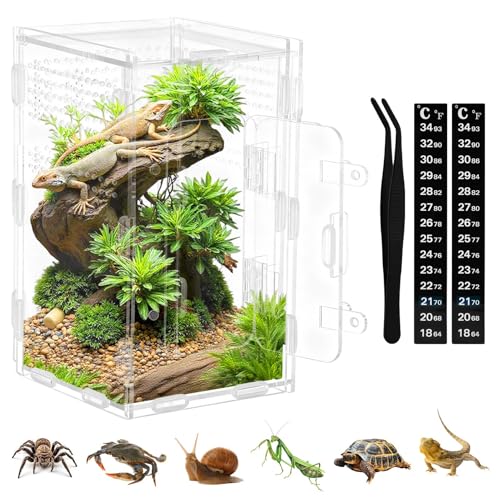 Jumping Spider Enclosure Kit with Thermometer & Tweezers | 7.87"×4.7"×4.7" Large Acrylic Terrarium with Magnetic Door & All-Side Ventilation,Reptile Enclosure for Spiderling