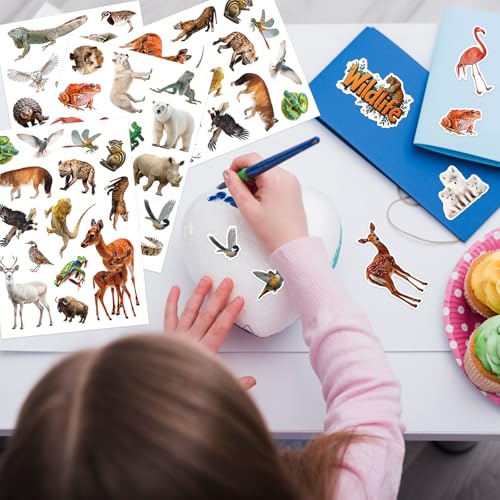312Pcs Jungle Animal Stickers, Realistic Safari Animal Decorations Stickers for Scrapbooks Envelopes Cards Gifts Crafts Decor - style: Jungle Animal