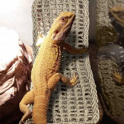 2Pcs Reptile Hammock for Bearded Dragon Climbing Bridge Tank Accessories | Large Bearded Dragon Hammock, 2 Pcs Reptile Climbing Bridge, Lizard Tank Accessories for Chameleon Hermit Snake Habitat Decor - style: 1 Rectangle + 1 Square