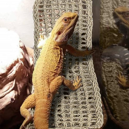 2Pcs Reptile Hammock for Bearded Dragon Climbing Bridge Tank Accessories | Large Bearded Dragon Hammock, 2 Pcs Reptile Climbing Bridge, Lizard Tank Accessories for Chameleon Hermit Snake Habitat Decor - style: 1 Rectangle + 1 Square