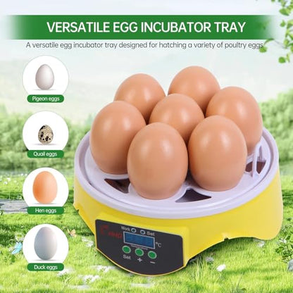Gen 1-7 Egg Incubator for Kids & Beginners with 360° View, Manual Temperature Control for Chicken, Quail, and Parrot Eggs