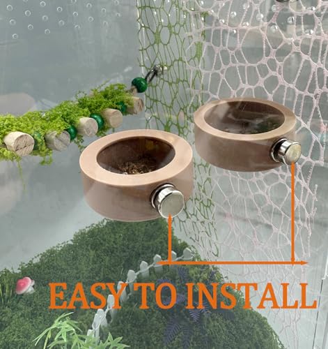 2 Pcs Anti- Escape Jumping Spider Food Bowl with Magnet Water Feeder Bowls Mini Reptile Feeder for Jumping Spider, Gecko etc, Round