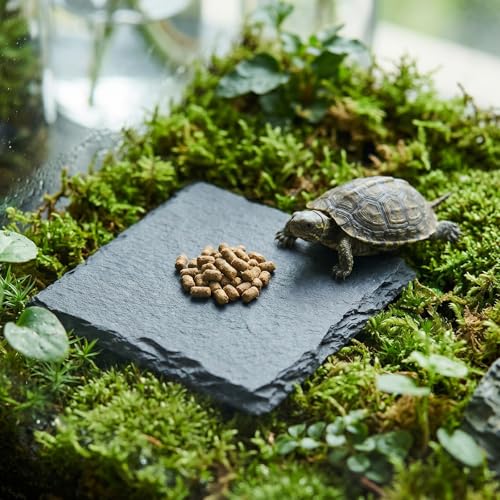 Yuanchu Reptile Basking Platform, Slate Tortoise Rock Plate, Natural Rock Reptile Food Dish Bowl, Habitat Decor for Turtle Bearded Dragon Lizard Gecko Snake