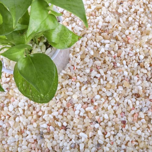 CJGQ 18lb Aquarium Gravel for Plants, 1/5Inch Outdoor Decorative River Rocks for Succulents and Cactus Landscaping, Garden Plant Natural Small Pea Gravel for Fish Tank Vases Terrarium - size: 18 LB