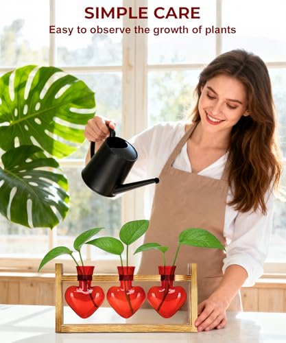 Plant Terrarium with Wooden Stand, 3 Heart Bulb Glass Vases | Wooden Stand Tabletop for Air Planter, Gifts for Mom Plant Lovers Mom Women Wife Grandma - color: Red