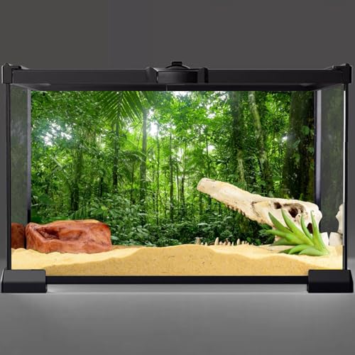 36x24 in Tropical Terrarium Backdrop Green Tree Reptile Habitat Background | AWERT Rainforest Aquarium Background - size: 36x24in/90x60cm