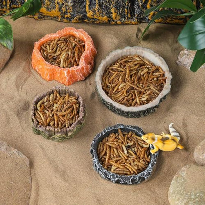 IBWell 2pcs Reptile Water Bowl with Feeding Tweezers - Food Dish for Lizard, Snake, Tortoise & Small Animals - Loess