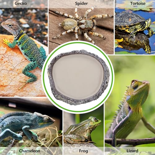 BESPORTBLE Reptile Water Bowl and Food Dish Resin Basin Shallow Pet Water Feeder for Turtles Lizards Snakes Bearded Dragons Terrarium Supplies