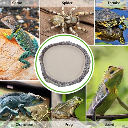 BESPORTBLE Reptile Water Bowl and Food Dish Resin Basin Shallow Pet Water Feeder for Turtles Lizards Snakes Bearded Dragons Terrarium Supplies