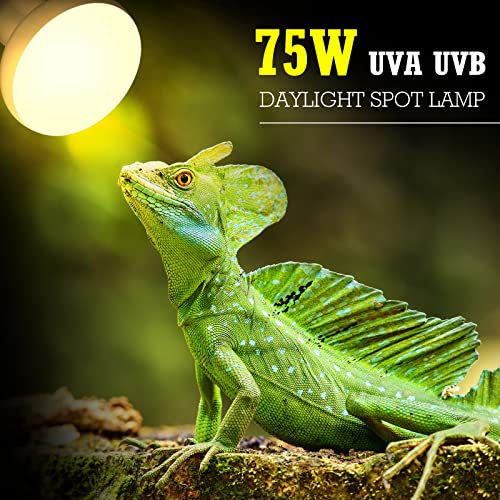 Tarpop 8 Pcs 75w Reptile Heat Lamp Bulb, Reptile Basking Heat Light Bulb Uva Daylight for Bearded Dragon, Amphibian, Turtle, Lizard, Chicken - style: 75w