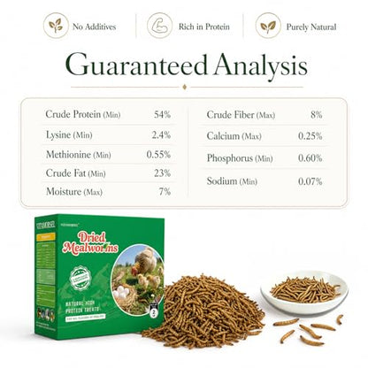 2LB Dried Mealworms +2 Preserved Worm Packs for Chickens & Birds | High-protein treat for chickens, ducks, wild birds, reptiles, turtles & fish