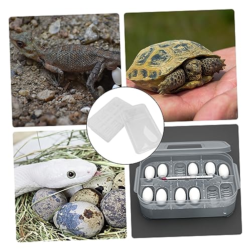 YARNOW 20Grids Plastic Reptile Hatching Incubation Box Lightweight Compact Hatchery Container for Lizard Reptile Breeding Safe Visible Design for Easy Monitoring of Egg Development