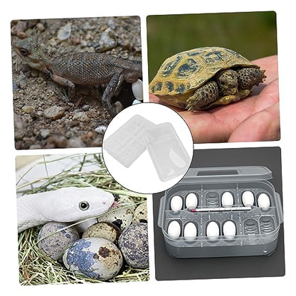 YARNOW 20Grids Plastic Reptile Hatching Incubation Box Lightweight Compact Hatchery Container for Lizard Reptile Breeding Safe Visible Design for Easy Monitoring of Egg Development