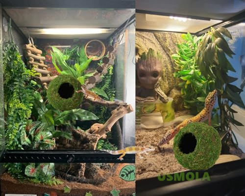 USMOLA Mossy Caves, Artificial Green Moss Caves Hide for Pet Reptile Frogs and Snakes, Terrarium & Vivarium Decor, Crested Gecko Tank Decor (6" - Woodland Green)