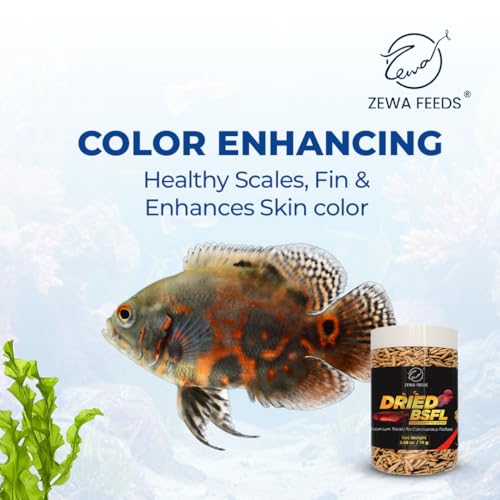 Dried Black Soldier Fly Larvae - 100% Natural, Protein Rich Fish Food for Arowana, Flower Horn, Oscar, Parrots, Reptiles (75 g/2.65 Oz/500 ml)