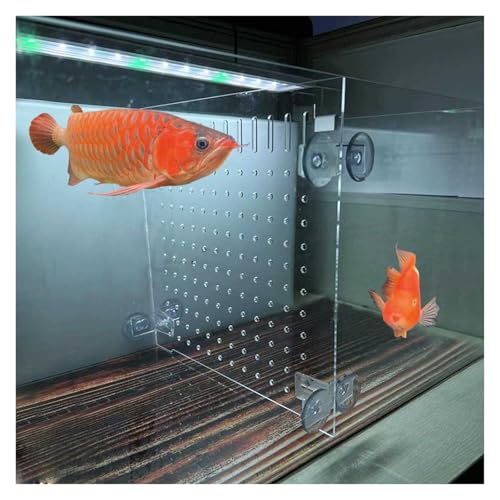 ERRULAN Acrylic Fish Tank Separator, Large Aquarium Tank Divider with Suction Cup, Fish Tank Divider Clear Kit for Optimal Fish Separation and Tank Organization(35x50cm/13.8x19.7in) - size: 35x50cm/13.8x19.7in
